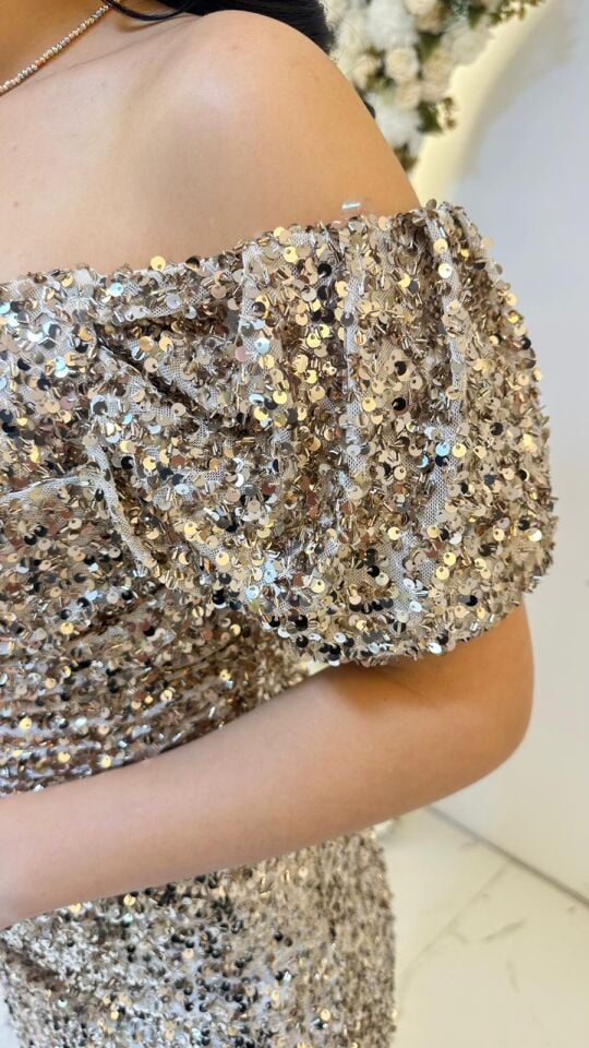 MODONNA YAKA PUL PAYET PUDRA GOLD ABİYE 44